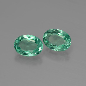 Achetez naturel ct Vert Apatite gems, Coupe ovale, En provenance Madagascar chez GemSelect. En stock, livraison internationale!