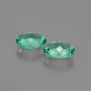 Achetez naturel ct Vert Apatite gems, Coupe ovale, En provenance Madagascar chez GemSelect. En stock, livraison internationale!