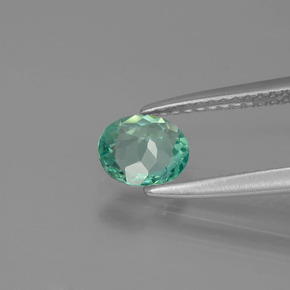Apatite vert naturelle coupe ovale, 0,62 ct, VVS-VS