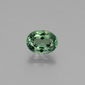 Apatite vert naturelle coupe ovale, 1,18 ct, VVS-VS