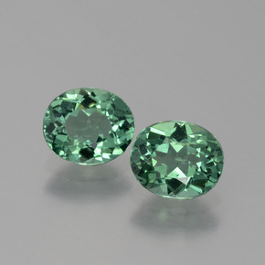 Achetez naturel ct vert apatite gems, coupe ovale, en provenance madagascar chez gemselect. en stock, livraison internationale!