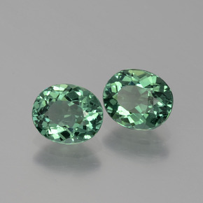 Achetez naturel ct vert apatite gems, coupe ovale, en provenance madagascar chez gemselect. en stock, livraison internationale!