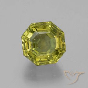 Apatite Vert forêt chaud naturelle Octogone / coupe Émeraude, 11.16 ct, VS-SI