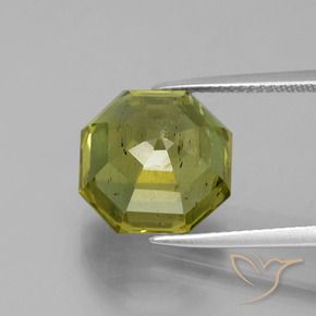 Apatite Vert forêt chaud naturelle Octogone / coupe Émeraude, 11.16 ct, VS-SI
