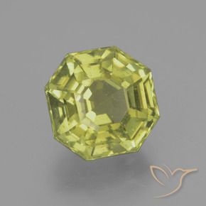 Apatite Vert forêt chaud naturelle Octogone / coupe Émeraude, 5.46 ct, VS