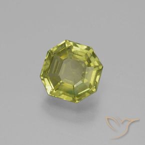 Apatite Vert forêt chaud naturelle Octogone / coupe Émeraude, 2.64 ct, VS