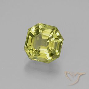Apatite Vert forêt chaud naturelle Octogone / coupe Émeraude, 2.61 ct, VS
