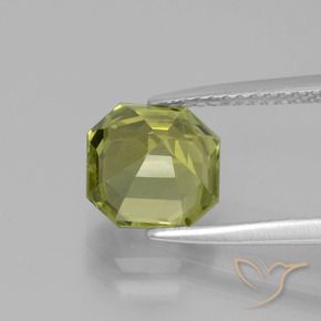 Apatite Vert forêt chaud naturelle Octogone / coupe Émeraude, 2.61 ct, VS