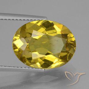 Apatite Jaune automnal naturelle ovale, 7.27 ct, VS