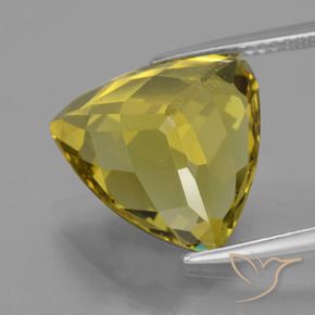 Apatite Jaune automnal naturelle Trillion, 8.95 ct, VS