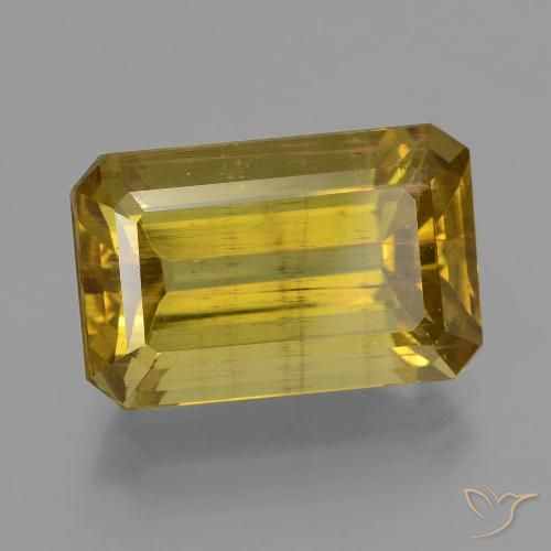 12.73ct Naturel Jaune Dijon Apatite, Taille émeraude, VS