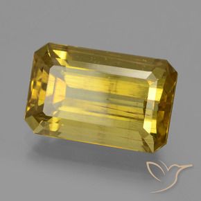 Apatite Jaune Dijon naturelle Octogone / coupe Émeraude, 12.73 ct, VS