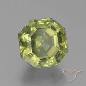 Apatite Vert forêt léger naturelle Octogone / coupe Émeraude, 5.75 ct, VVS-VS