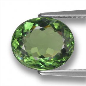Apatite vert naturelle coupe ovale, 3,12 ct, VS-SI