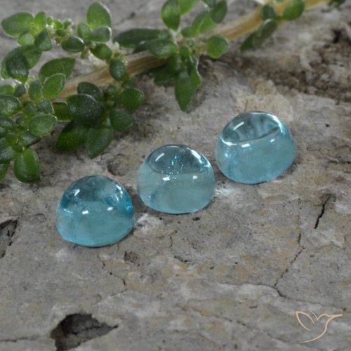 1.46ctw Naturel Bleu aquatique profond Apatite, Tour, Transparent