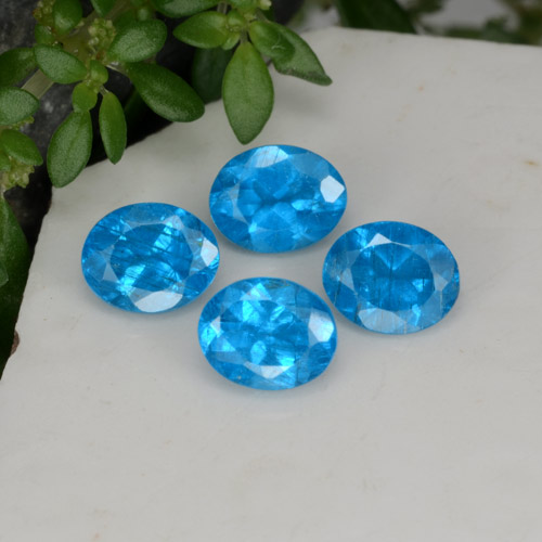 Achetez naturel 1.61ct Bleu Apatite gems, Coupe ovale, En provenance Madagascar chez GemSelect. En stock, livraison internationale!