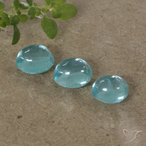 1.26ctw Naturel Bleu olympique Apatite, ovale, Transparent