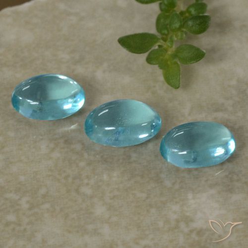 Achetez naturel 1,32ct bleue apatite gems, coupe ovale, en provenance madagascar chez gemselect. en stock, livraison internationale!