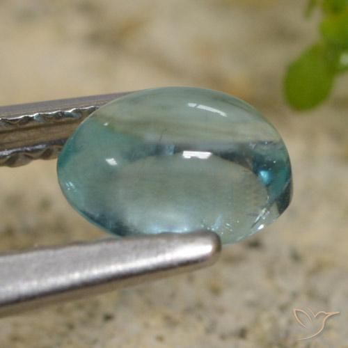 Apatite Sarcelle léger naturelle ovale, 0.62 ct, Transparent