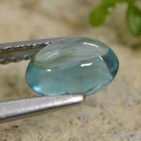 Apatite turquoise naturelle coupe ovale, 0,83 ct, transparent