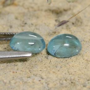 Achetez naturel 1.31ct Bleu Apatite gems, Coupe ovale, En provenance Madagascar chez GemSelect. En stock, livraison internationale!