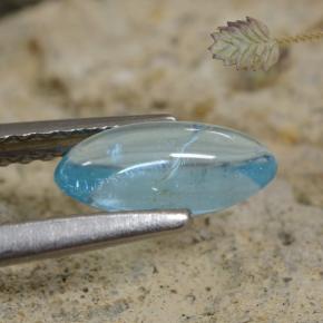 Apatite sarcelle léger naturelle marquise, 0,75 ct, transparent