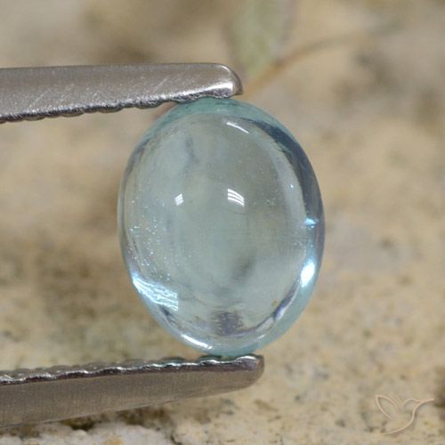 0.71ct Naturel Sarcelle léger Apatite, ovale, Transparent