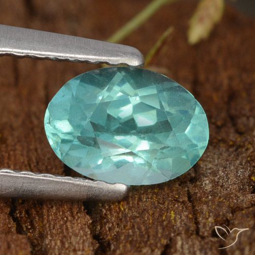 0.72ct Naturel Bleu-vert intense Apatite, ovale, VS