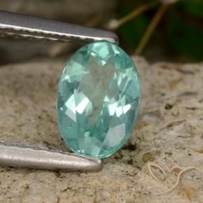 Apatite Sarcelle naturelle ovale, 0.82 ct, VS