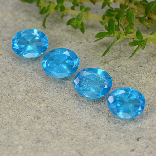 Achetez naturel 1,44ct bleue apatite gems, coupe ovale, en provenance madagascar chez gemselect. en stock, livraison internationale!