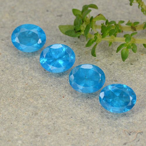 1.69ctw Naturel Azur profond Apatite, ovale, VS