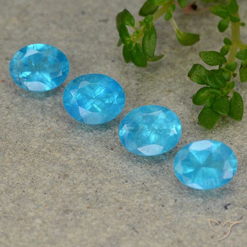 1.65ctw Naturel Océan profond Apatite, ovale, VS