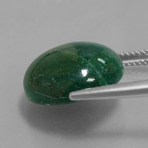 Aventurine Vert naturelle Coupe roude, 11.46 ct, Translucide