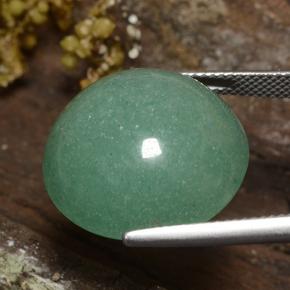 Aventurine Vert mousse naturelle Coupe roude, 23.81 ct, Translucide
