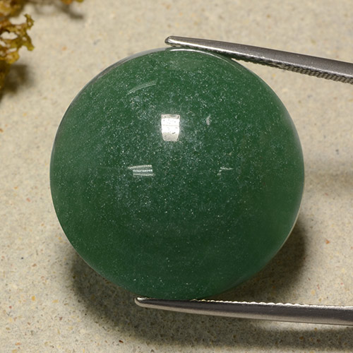 Aventurine vert naturelle coupe roude, 50,64 ct, translucide