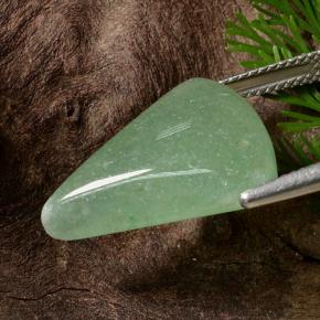 Aventurine Vert naturelle Trillion, 12.64 ct, Translucide