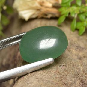 Aventurine Vert naturelle Coupe ovale, 7.52 ct, Translucide