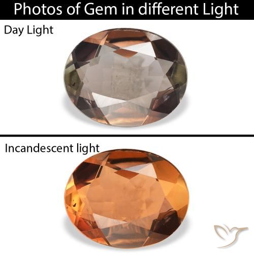 1.68ct Naturel Marron foncé Axinite, ovale, SI