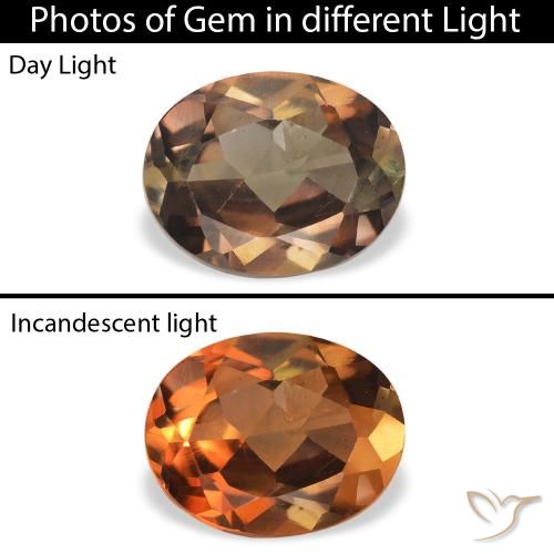 1.26ct Naturel Marron foncé Axinite, ovale, SI