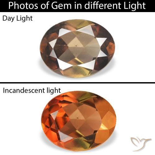 1.07ct Naturel Marron foncé Axinite, ovale, SI