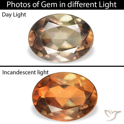 1.23ct Naturel Marron foncé Axinite, ovale, SI