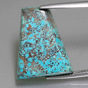 Azurite bleu multicolore naturelle forme fantaisie, 13,18 ct, opaque