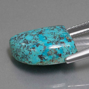 Azurite Bleu multicolore naturelle Forme fantaisie, 9.02 ct, Opaque