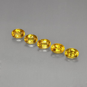 Achetez naturel ct Jaune doré Béryl gems, Coupe ovale, En provenance Brésil chez GemSelect. En stock, livraison internationale!