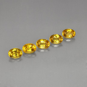 Achetez naturel ct Jaune doré Béryl gems, Coupe ovale, En provenance Brésil chez GemSelect. En stock, livraison internationale!