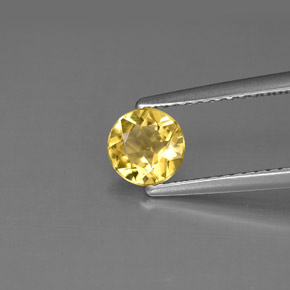 Béryl Jaune doré naturelle Coupe roude, 0.52 ct, VS