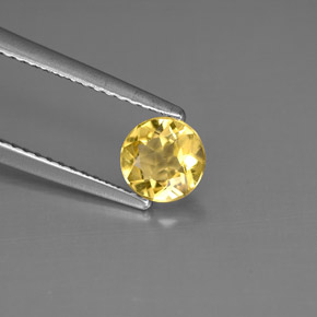 Béryl Jaune doré naturelle Coupe roude, 0.52 ct, VS