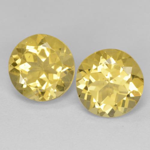 Achetez naturel 3,73ct jaune doré léger béryl gems, coupe roude, en provenance madagascar chez gemselect. en stock, livraison internationale!