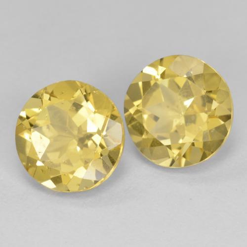 Achetez naturel 3,73ct jaune doré léger béryl gems, coupe roude, en provenance madagascar chez gemselect. en stock, livraison internationale!