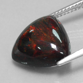 Opale noire multicolore naturelle trillion, 4,03 ct, opaque